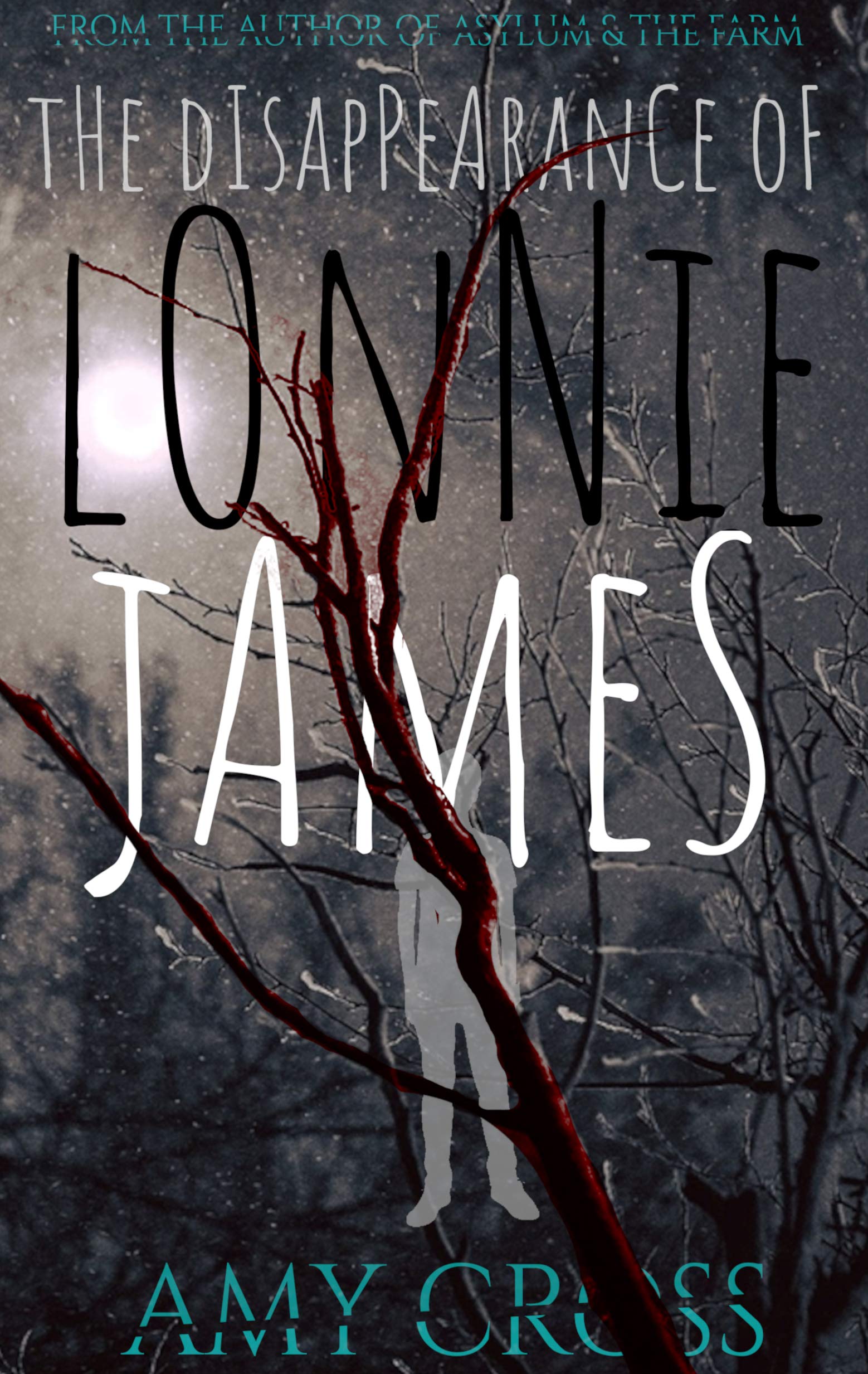 The Disappearance of Lonnie James book cover