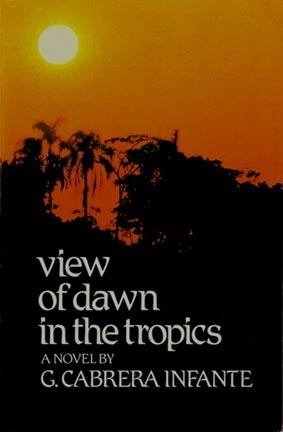 View of Dawn in the Tropics, a Novel book cover
