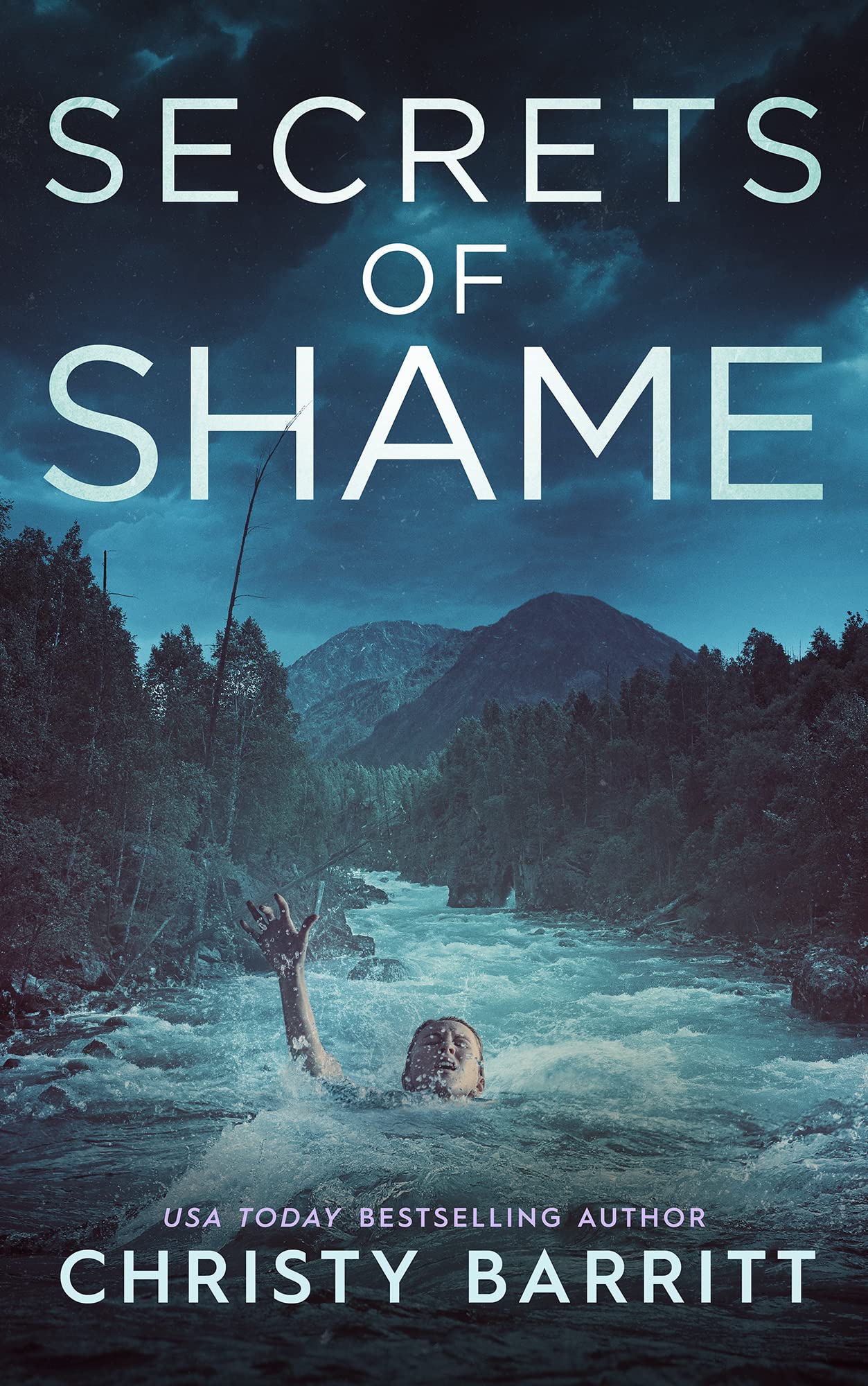 Secrets of Shame book cover