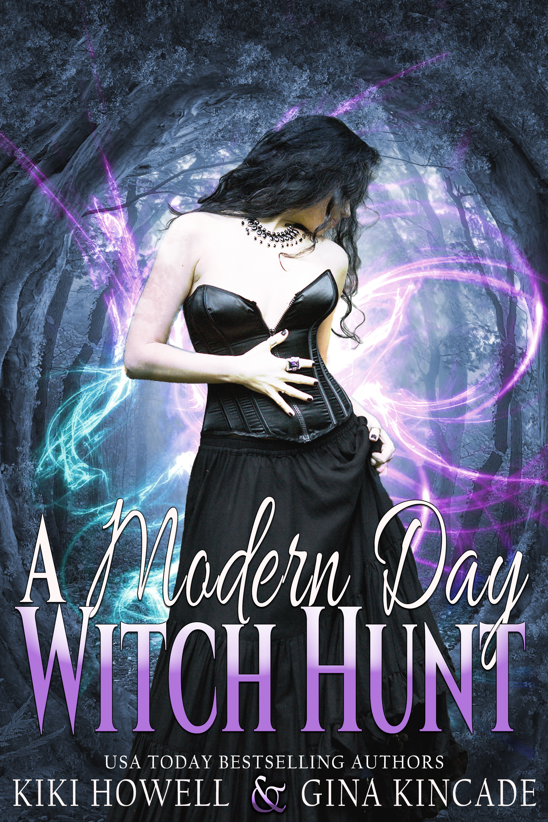 A Modern Day Witch Hunt book cover