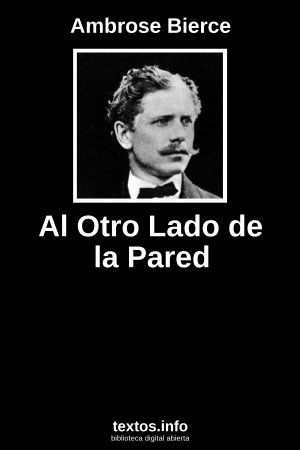 Al otro lado de la pared book cover
