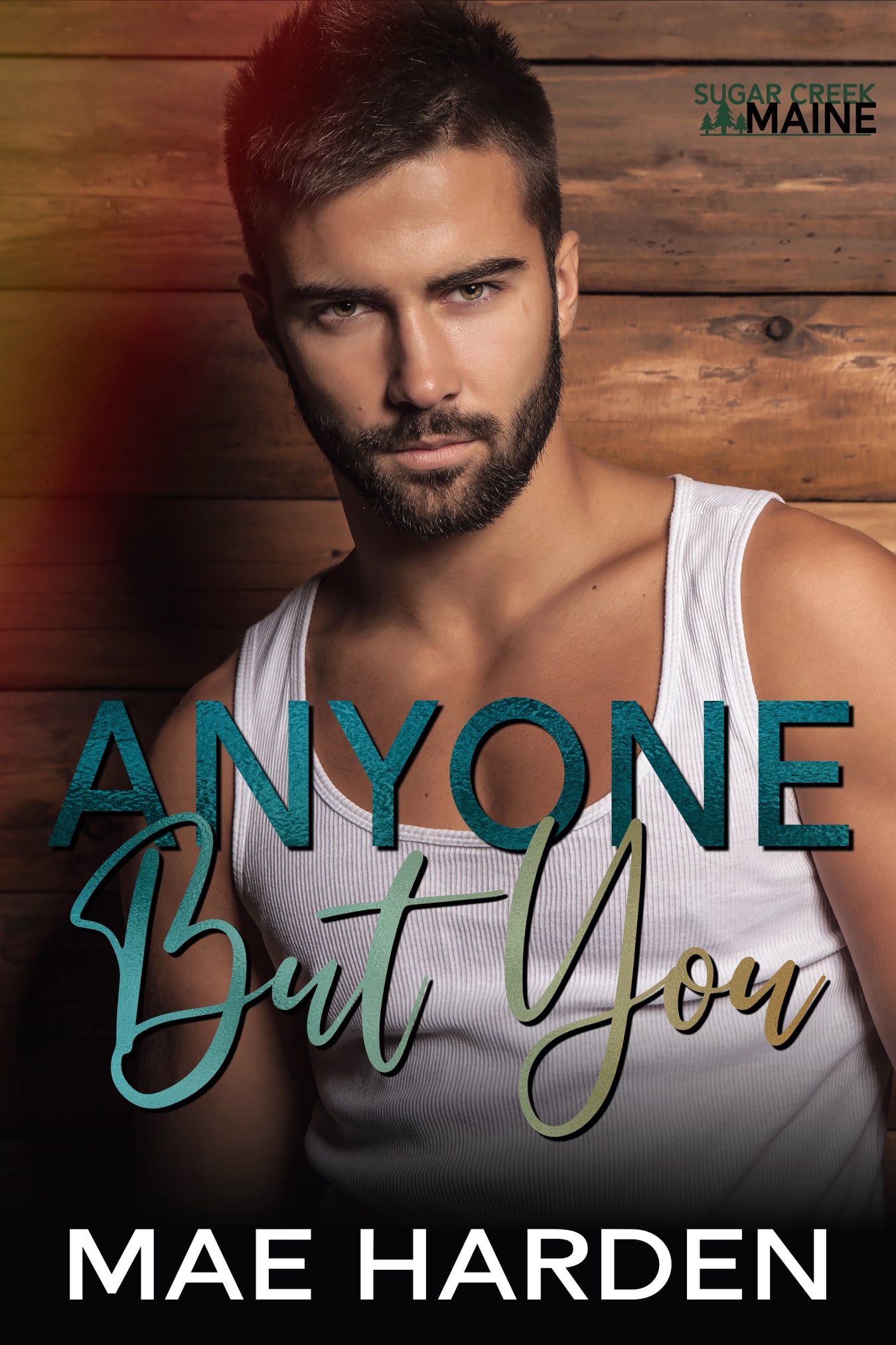 Anyone But You book cover