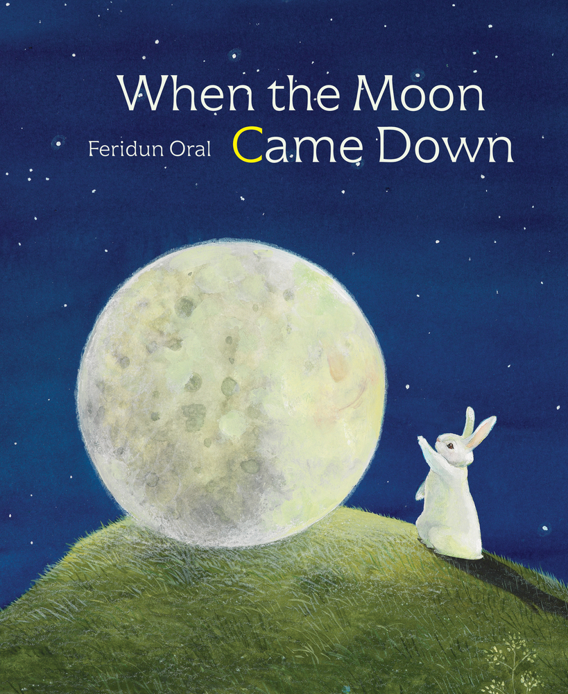 When the Moon Came Down book cover