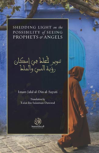 Shedding Light on the Possibility of Seeing Prophets and Angels book cover