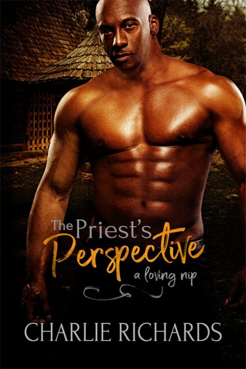 The Priest's Perspective book cover