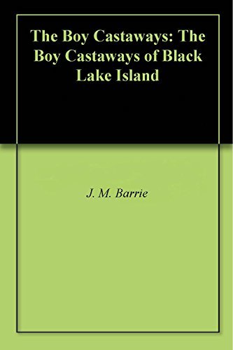 The Boy Castaways of Black Lake Island book cover