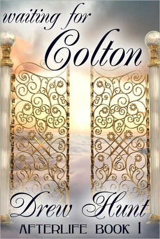 Afterlife book cover 1