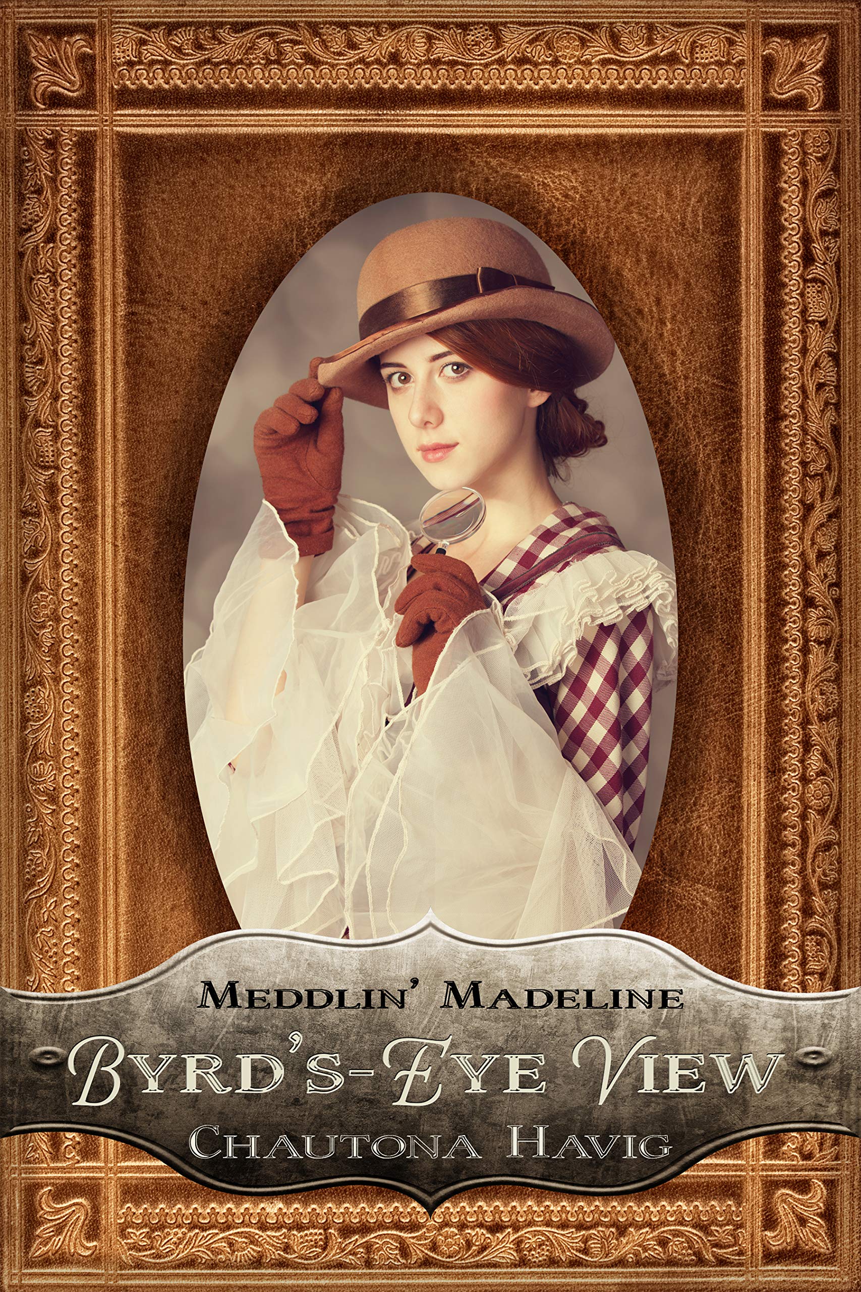 Byrd's-Eye View book cover