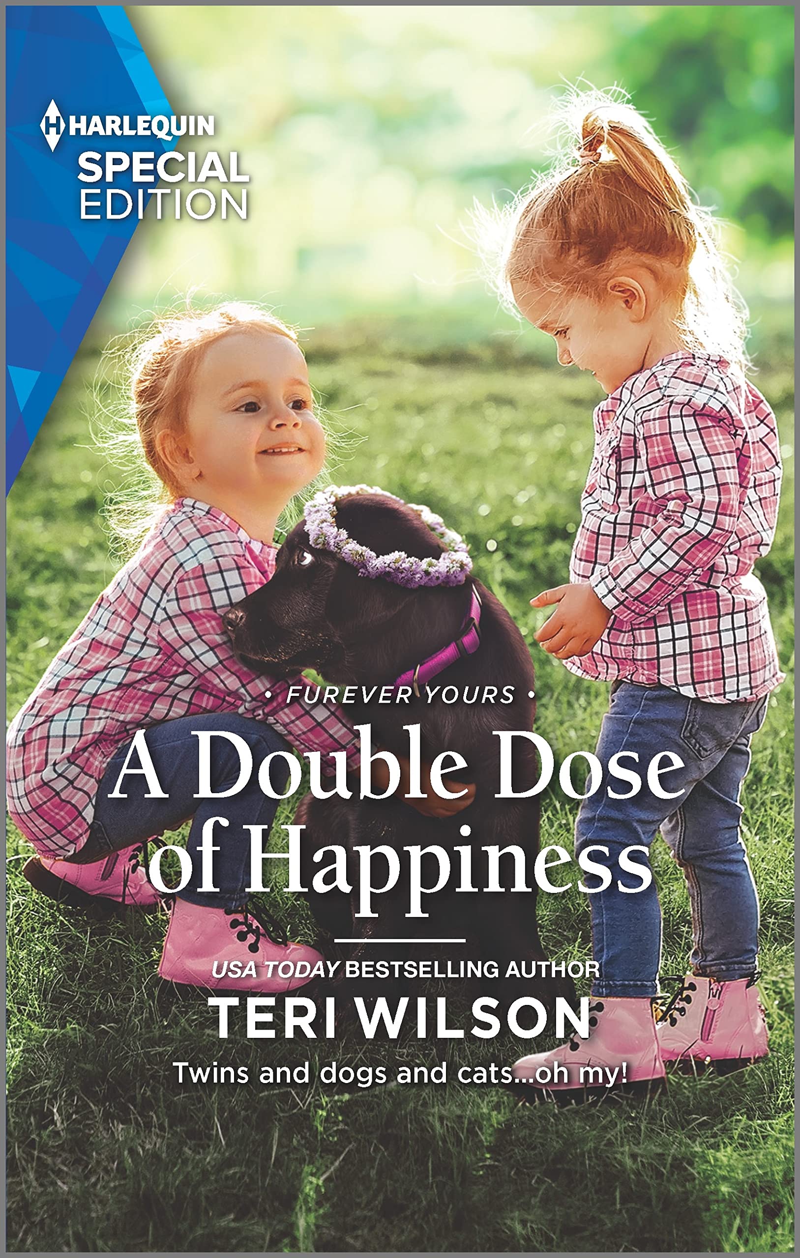A Double Dose of Happiness book cover
