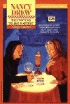 The Fortune Teller's Secret book cover