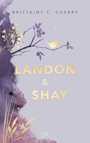 Landon & Shay book cover