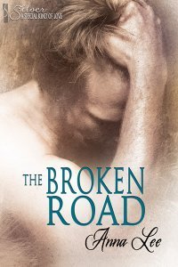 The Broken Road book cover
