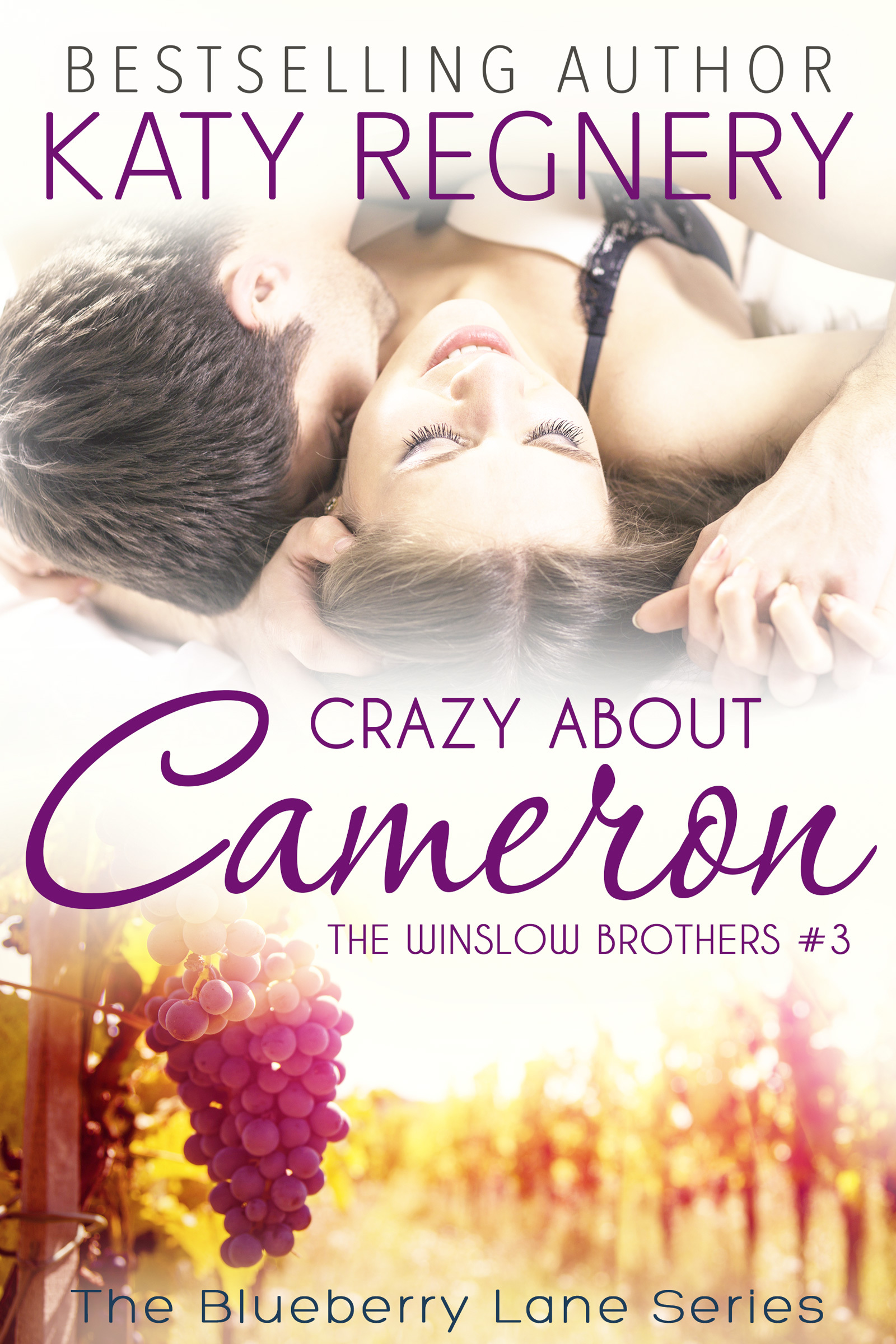 The Winslow Brothers book cover 3