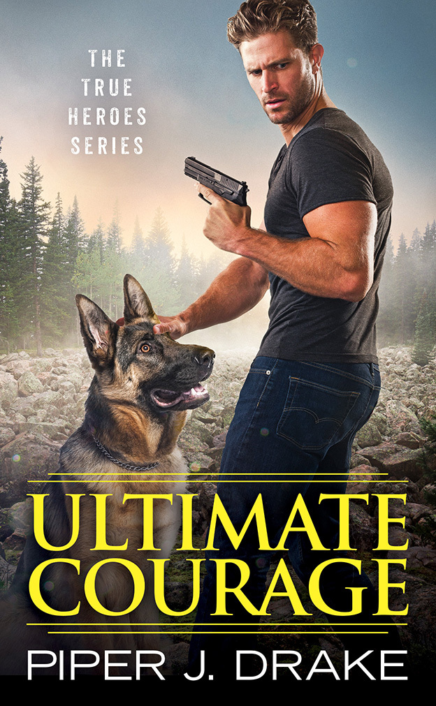 True Heroes book cover 2
