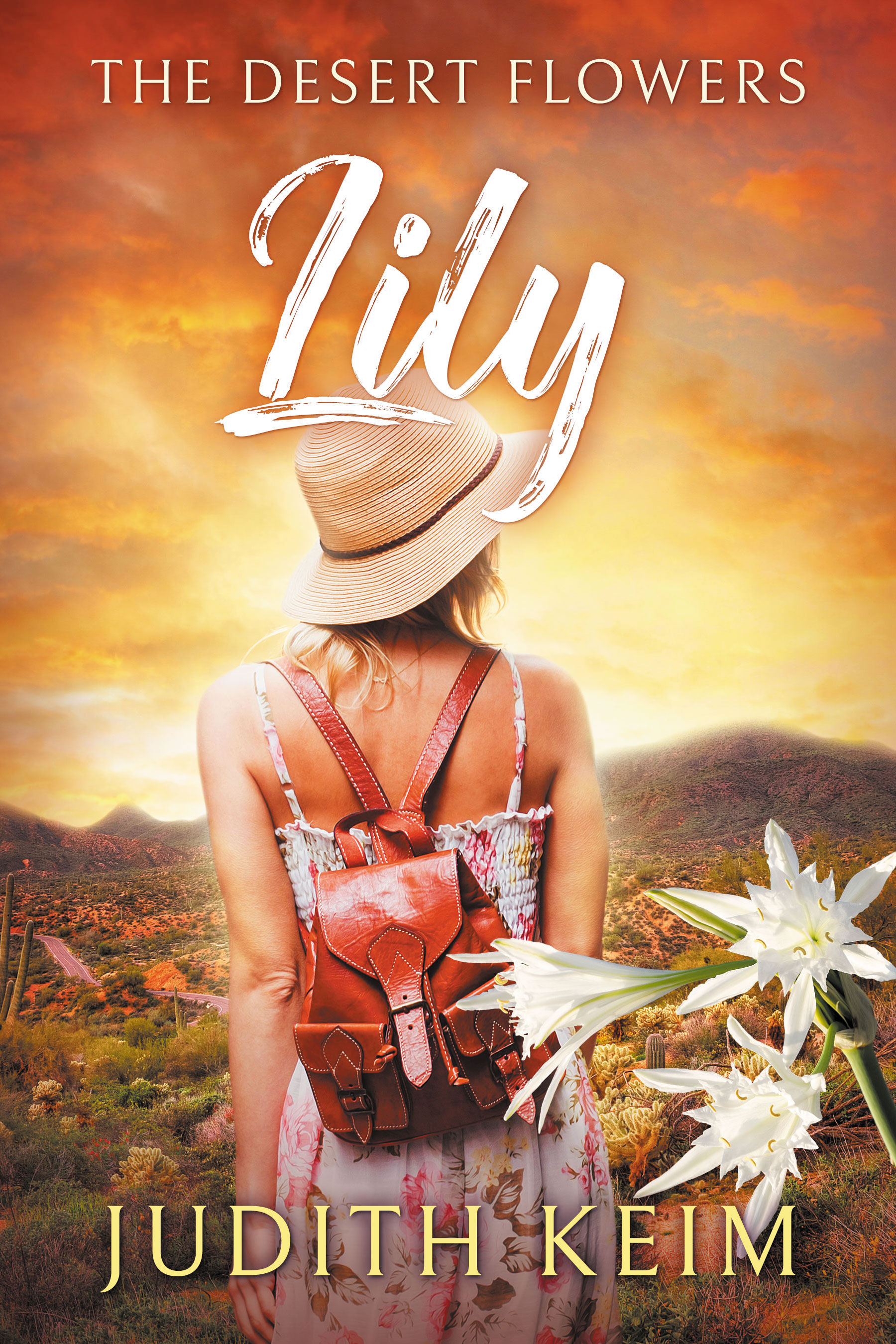 The Desert Sage Inn book cover 2