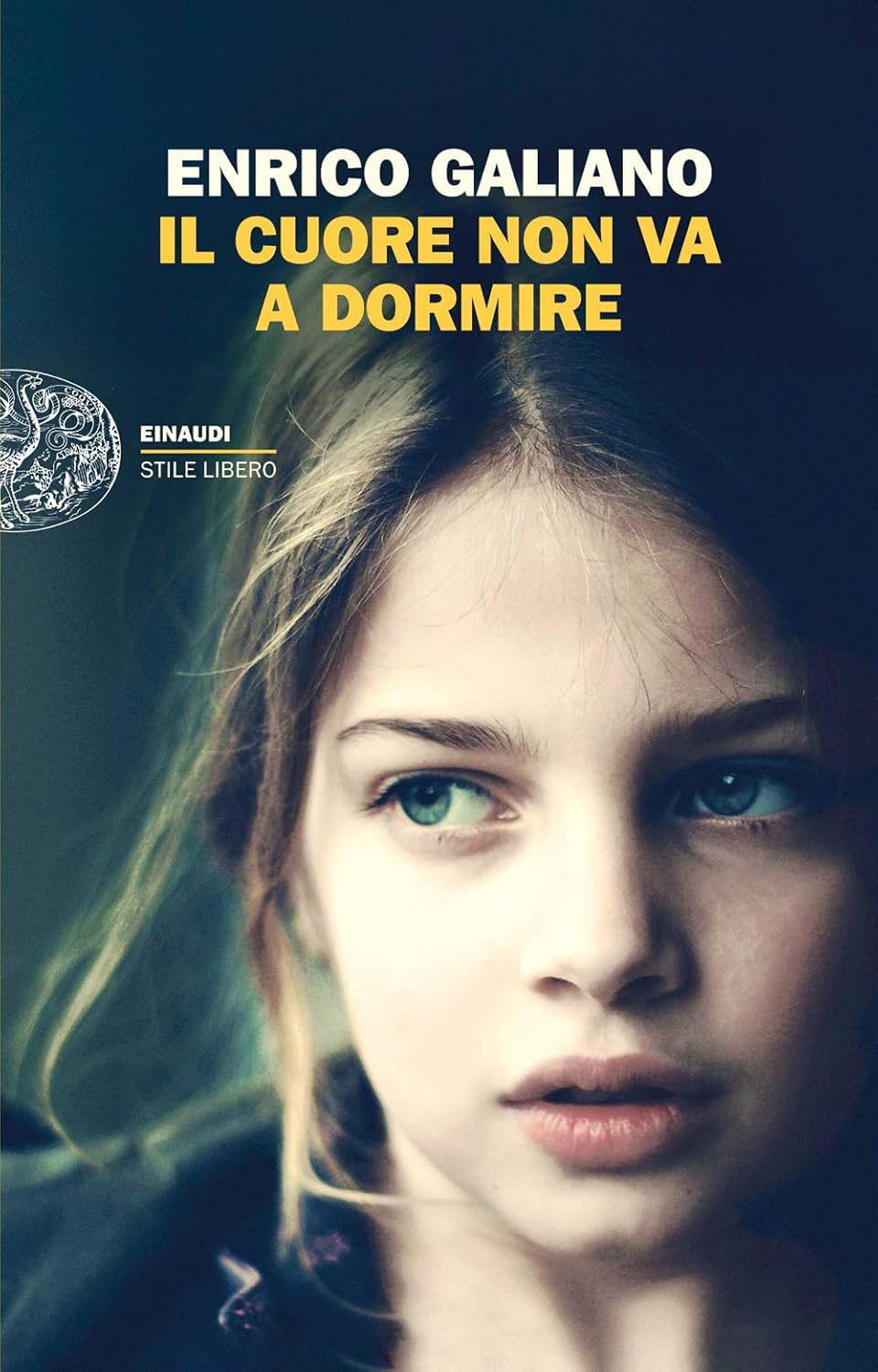 Il cuore non va a dormire book cover
