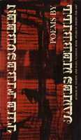 The Fire Screen book cover