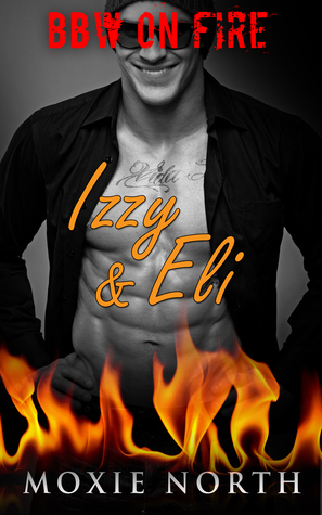 BBW on Fire book cover 3