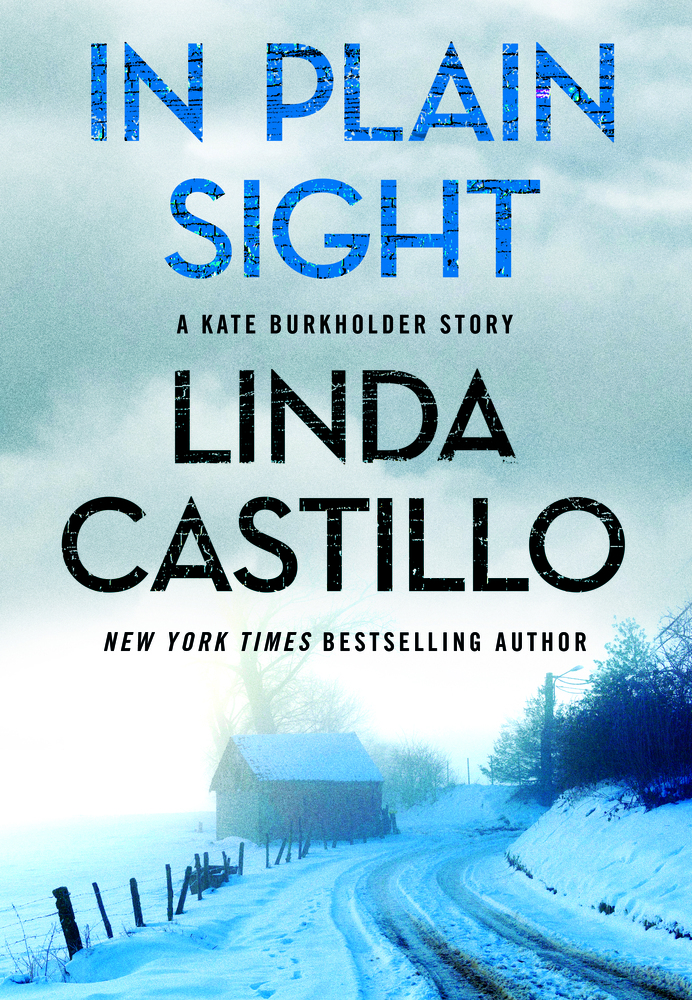 In Plain Sight book cover