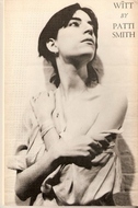Witt book cover