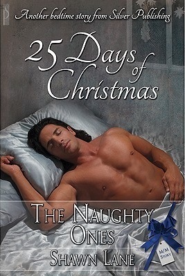 The Naughty Ones book cover