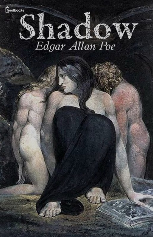 Shadow book cover