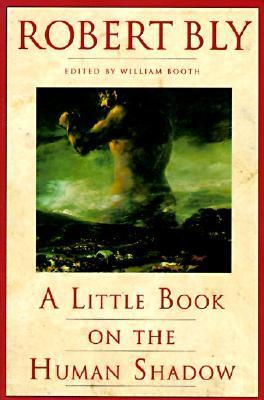 A Little Book on the Human Shadow book cover