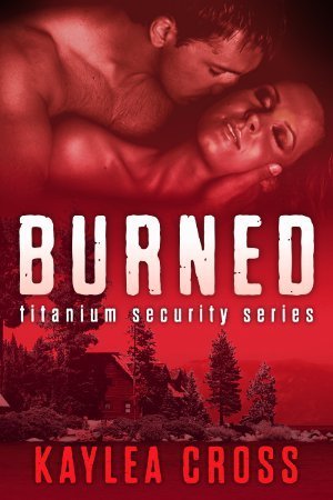 Titanium Security book cover 3