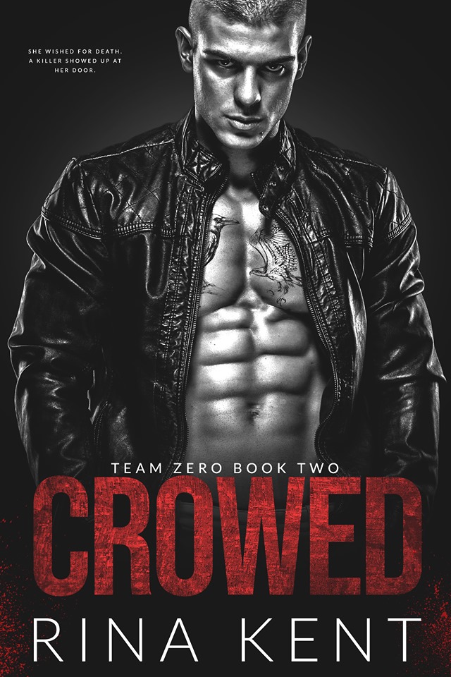 Team Zero book cover 2