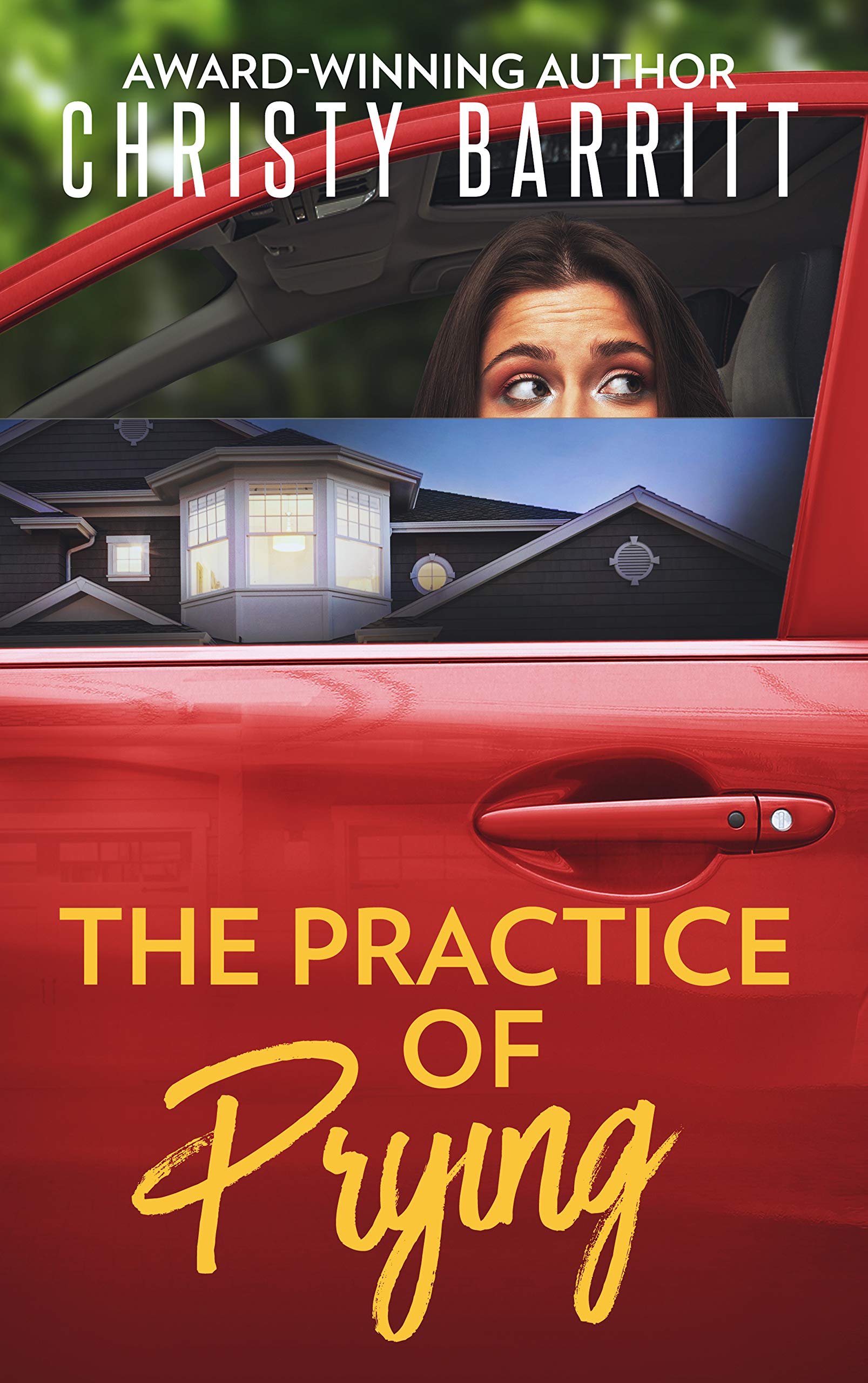 The Practice of Prying book cover