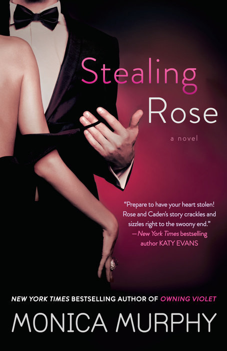 The Fowler Sisters book cover 2