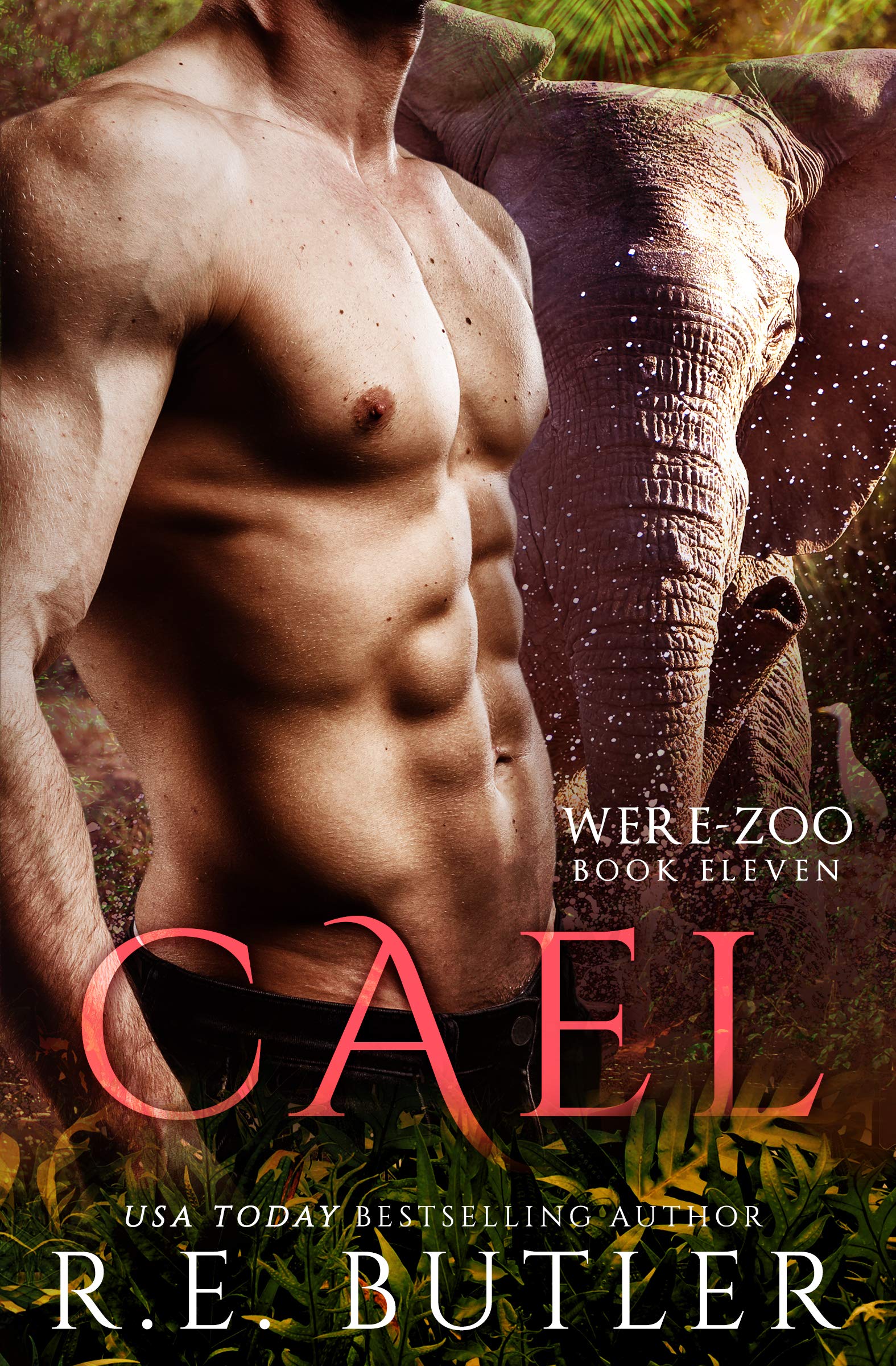 Cael book cover
