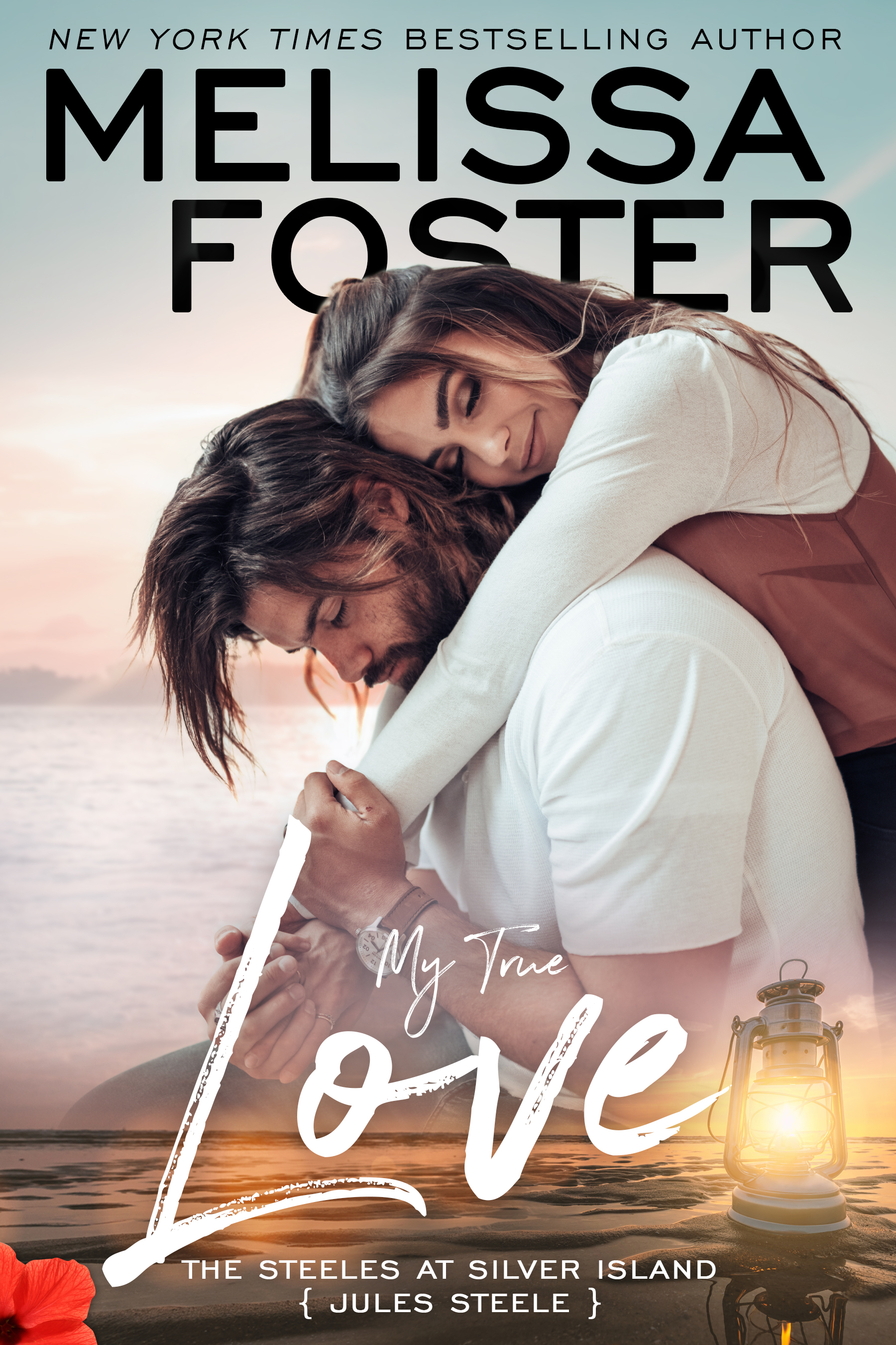 The Steeles at Silver Island book cover 2