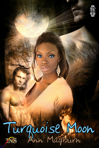 Turquoise Moon book cover
