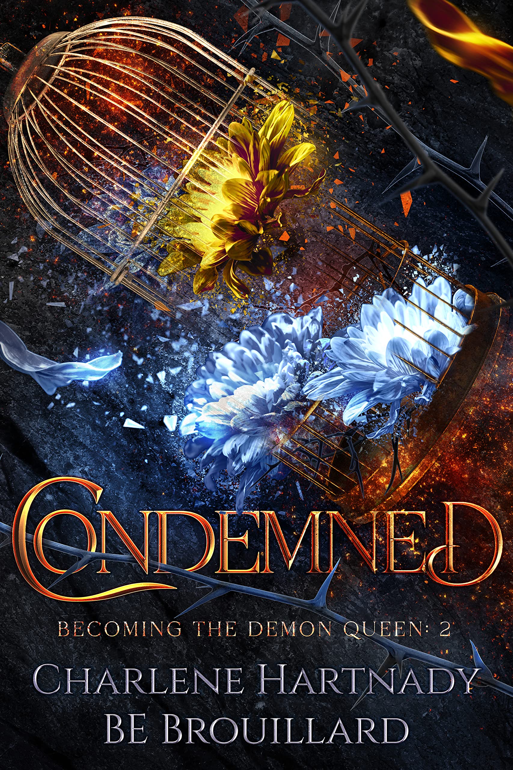 Becoming the Demon Queen book cover 2