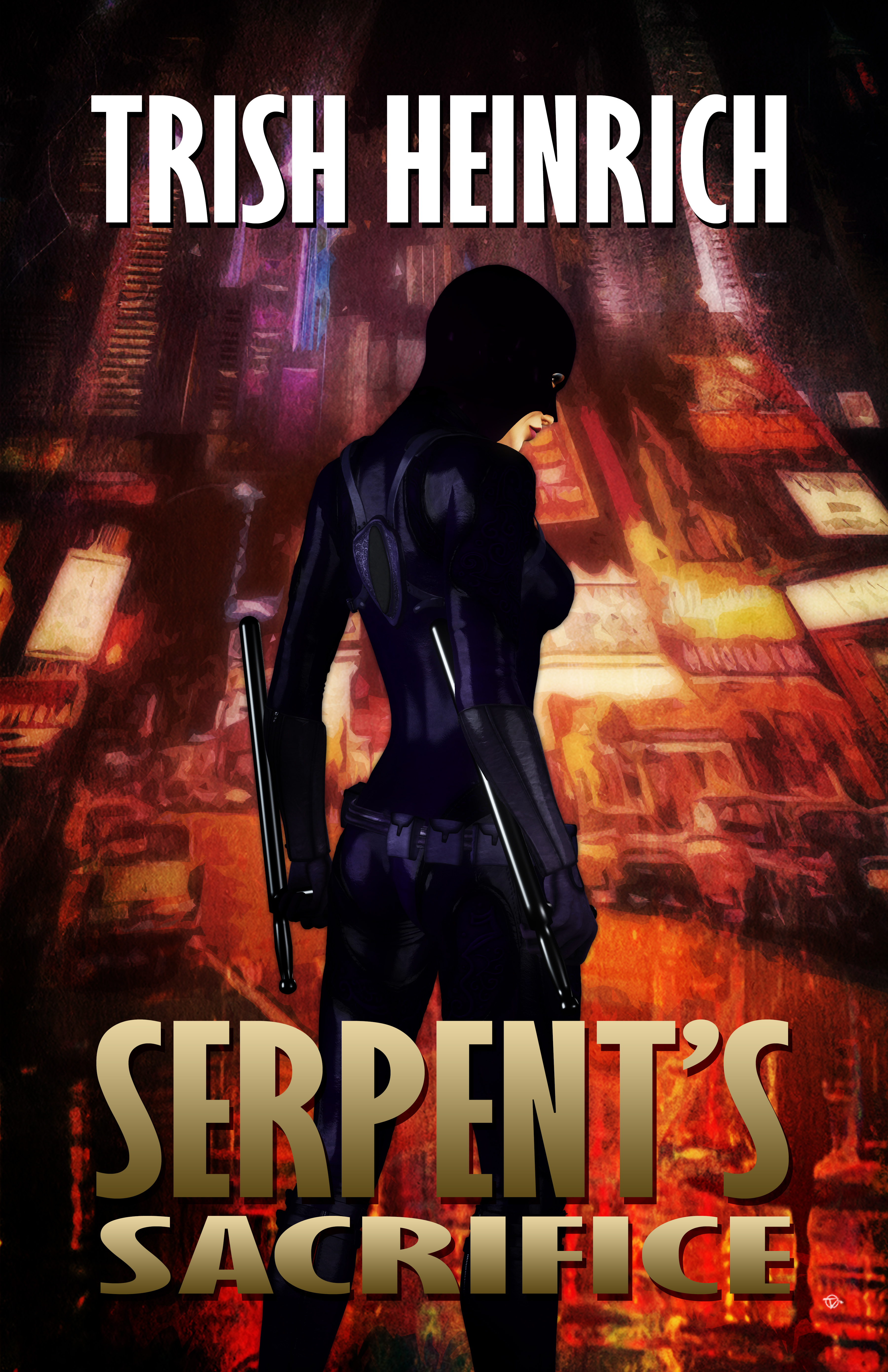 The Vigilantes book cover 1
