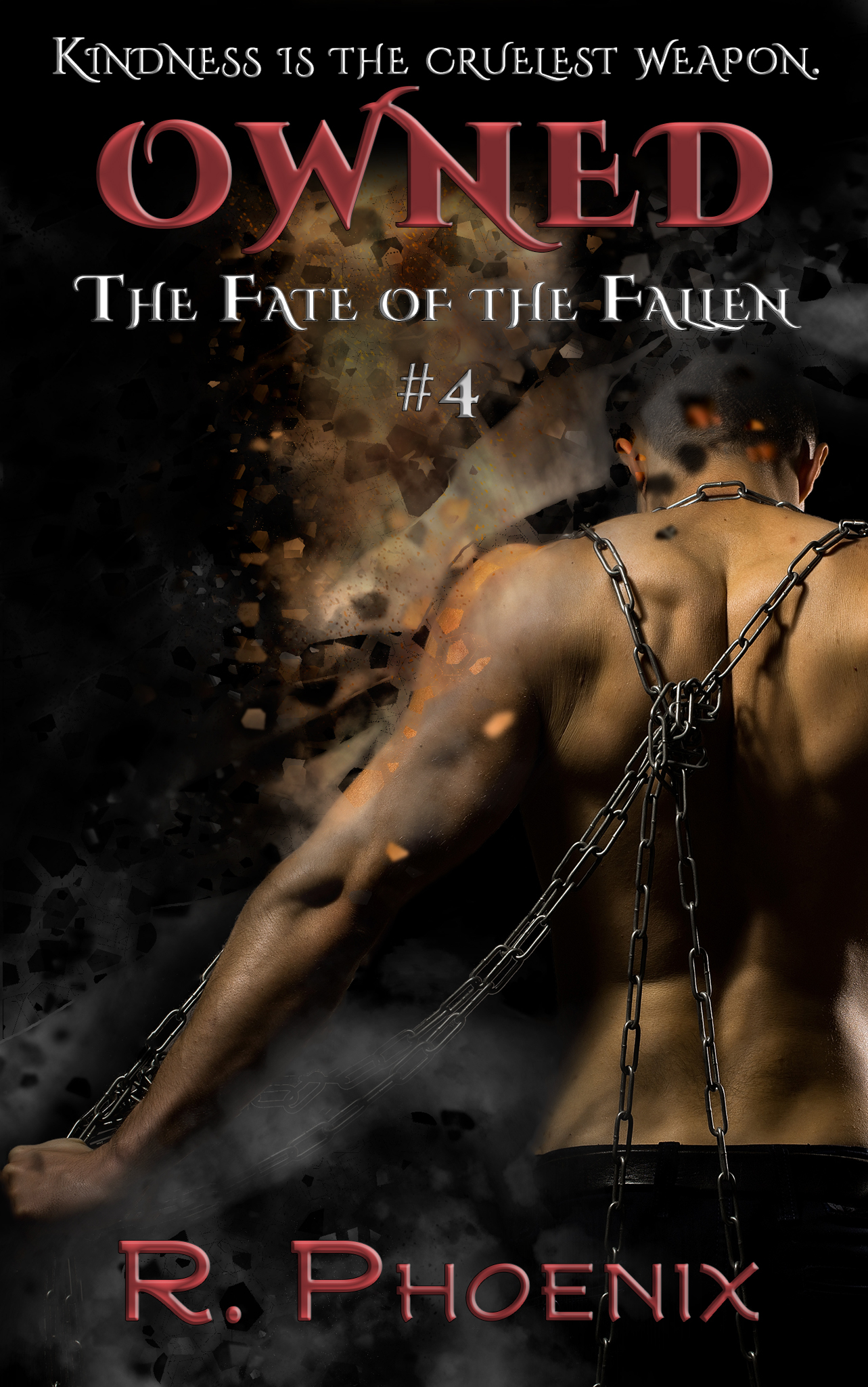 Owned book cover