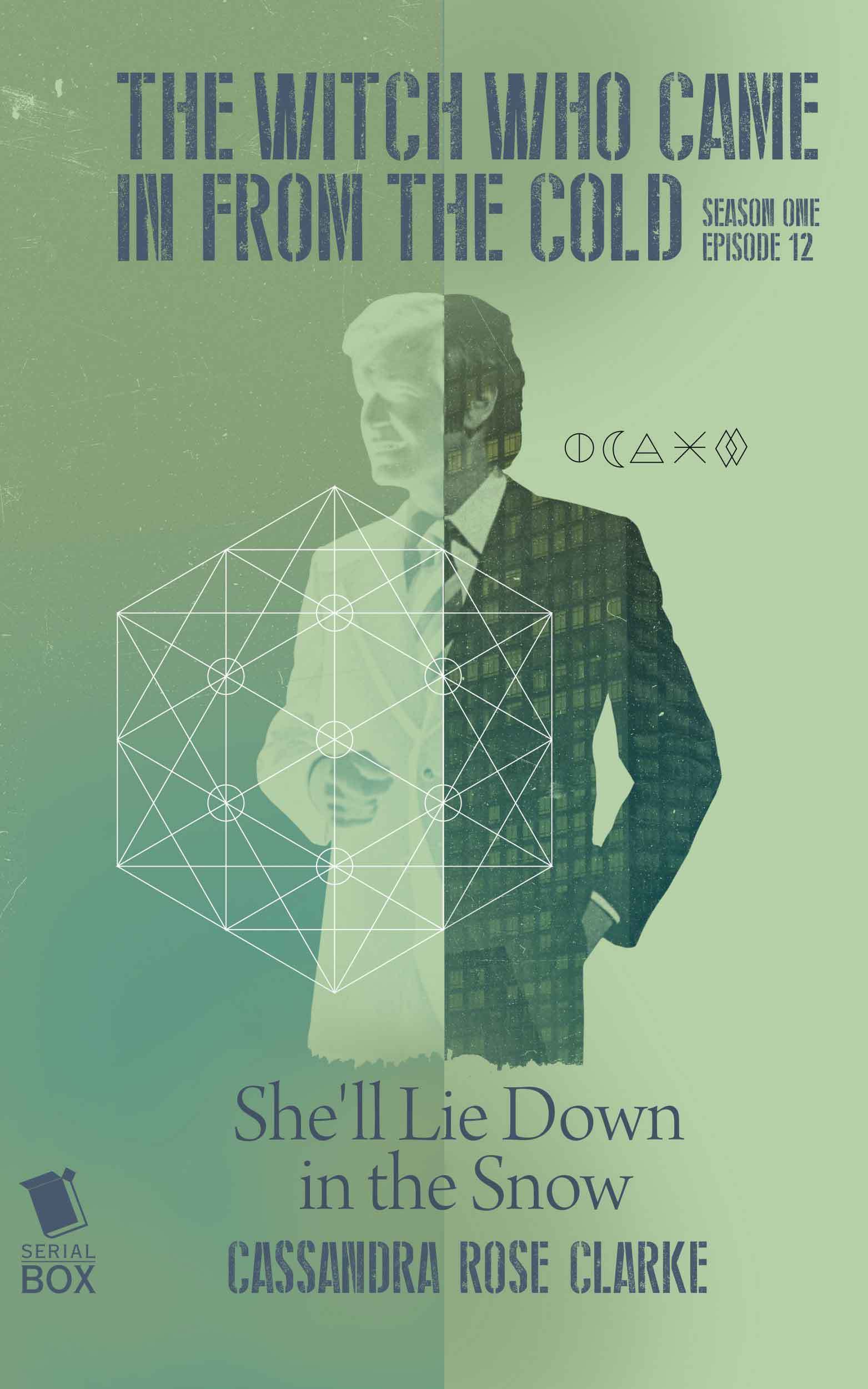 She'll Lie Down in the Snow book cover
