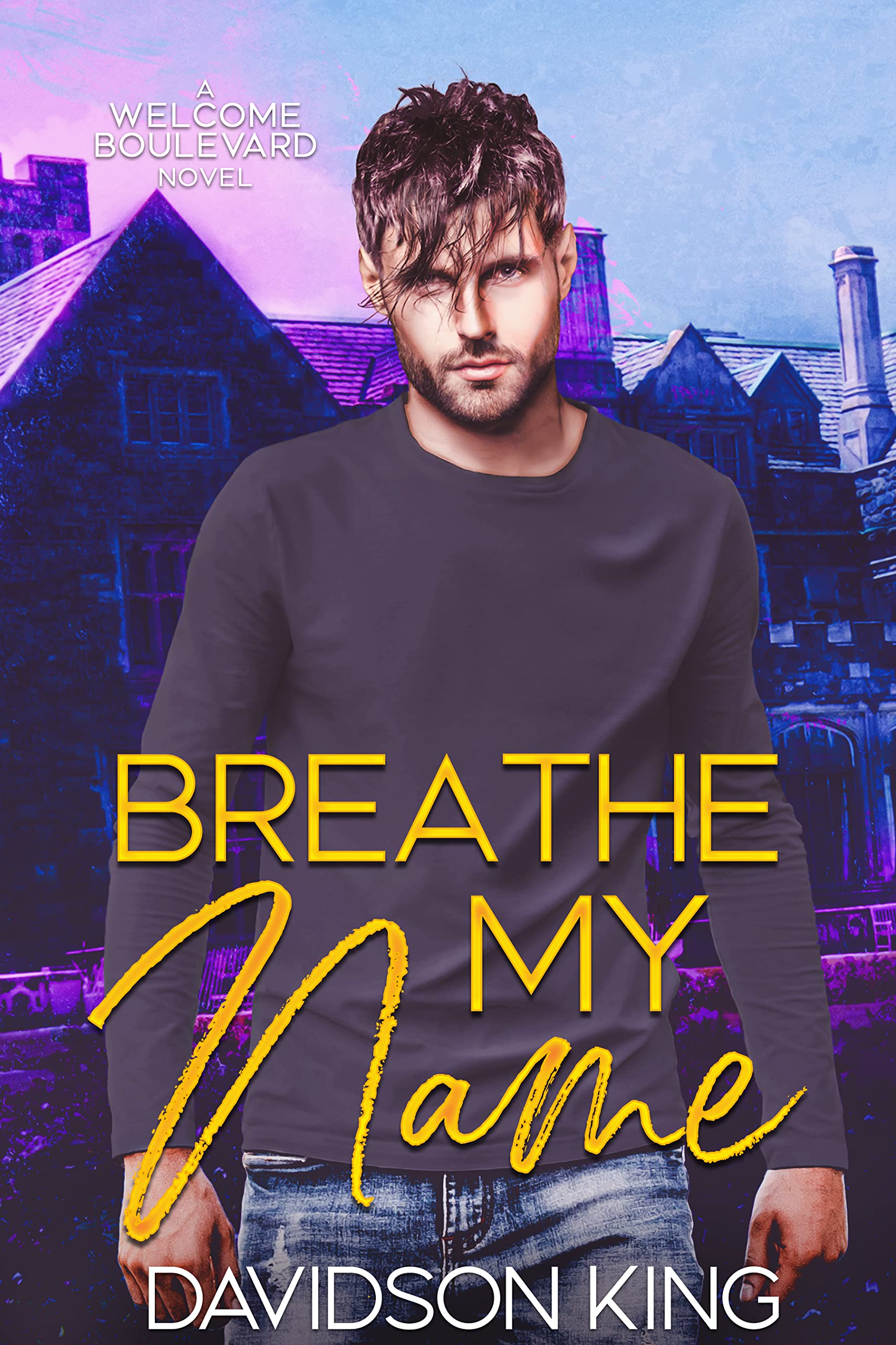 Welcome Boulevard book cover 2