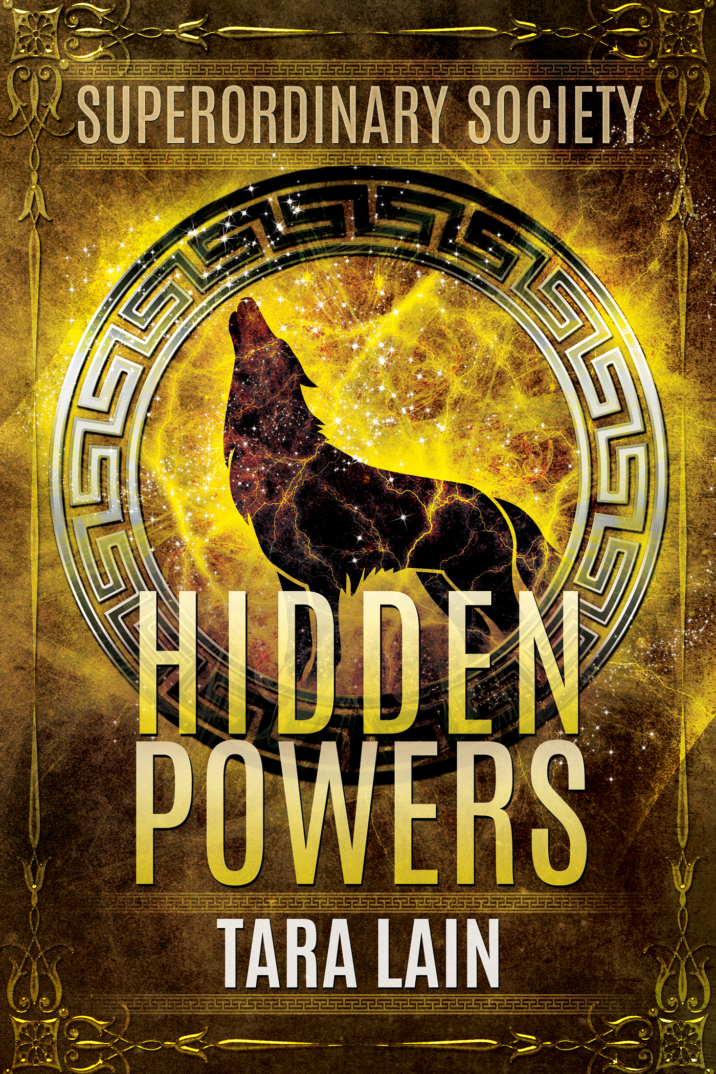 Superordinary Society book cover 1