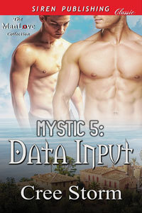 Data Input book cover