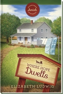 Sugarcreek Amish Mysteries book cover 2