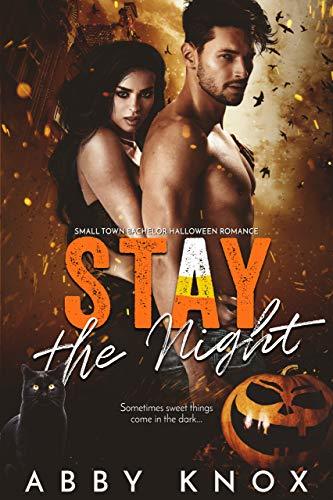 Stay The Night book cover