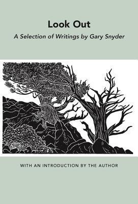 Look Out book cover
