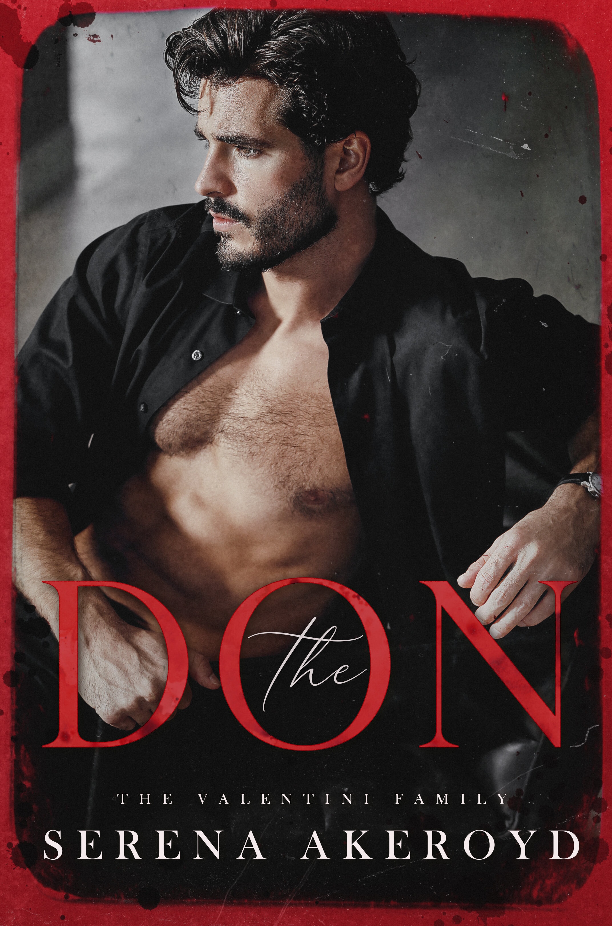 The Valentini Family book cover 1