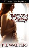 Threads of Destiny book cover