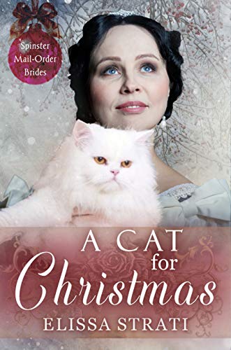A Cat for Christmas book cover