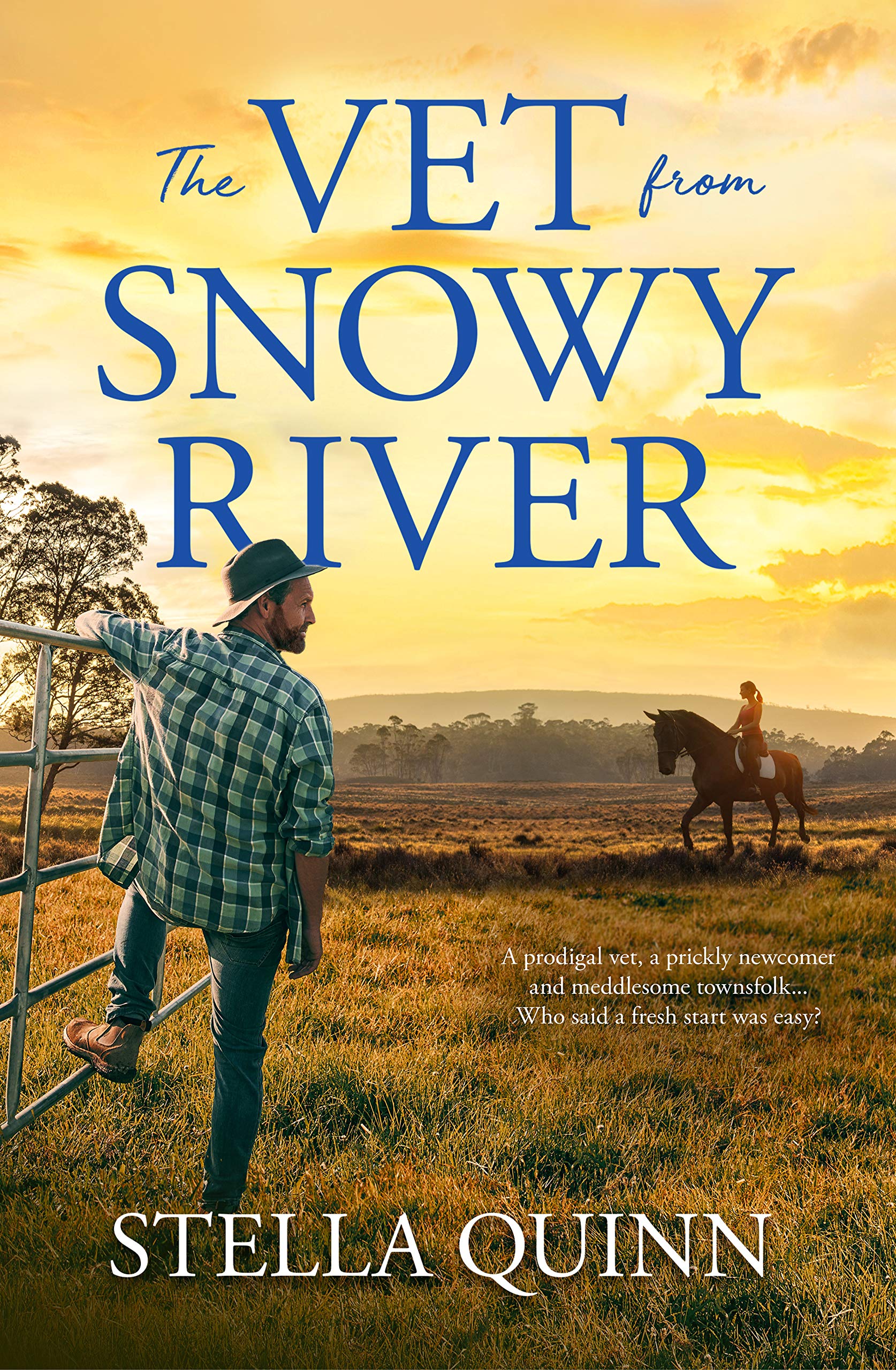 The Vet from Snowy River book cover