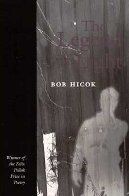 The Legend of Light (Volume 1995) book cover
