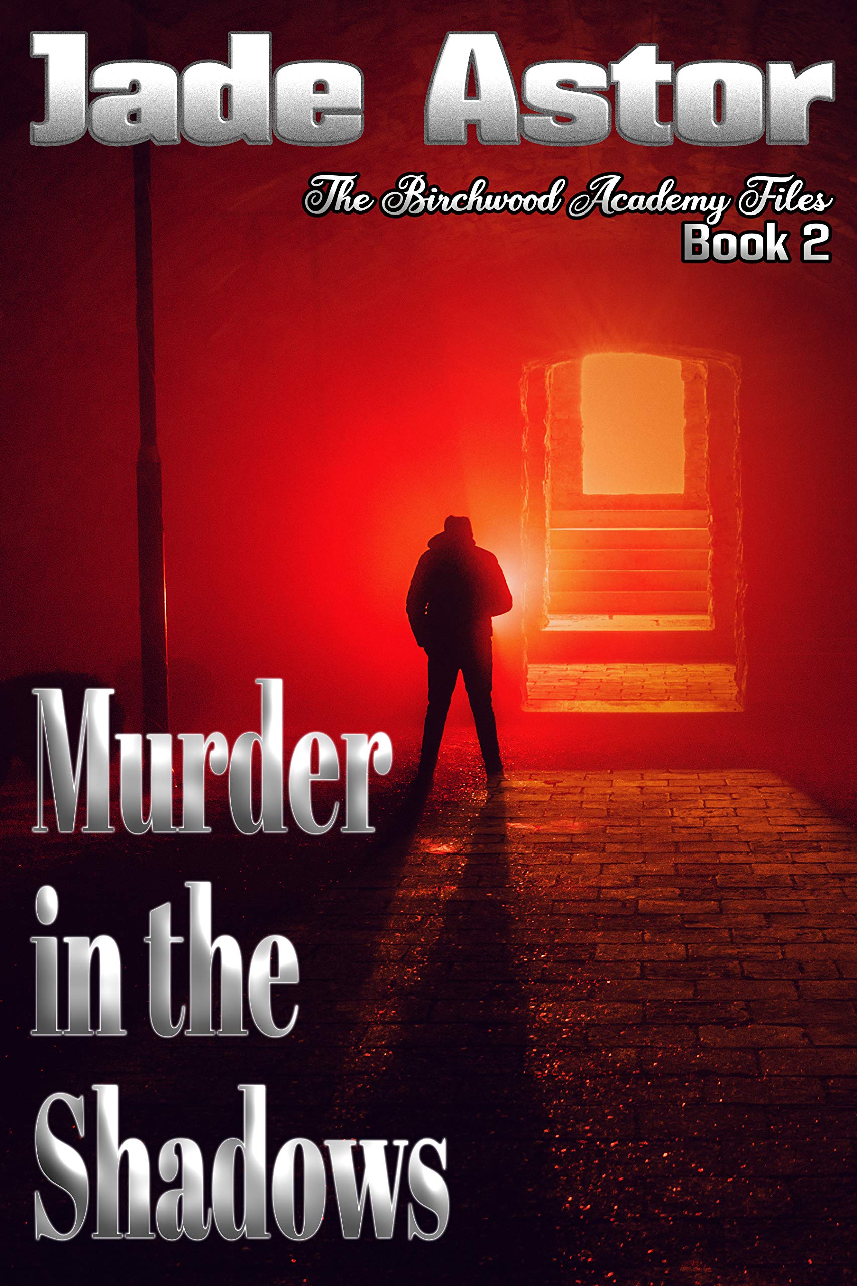Birchwood Academy Files book cover 2